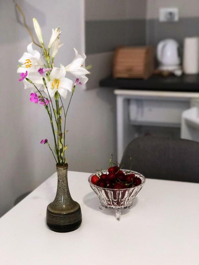 Monte B. Exclusive Apartment Rovinj Luaran gambar